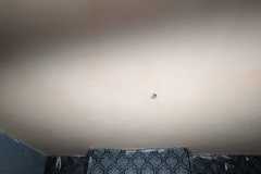 IMG-20250104-WA0027